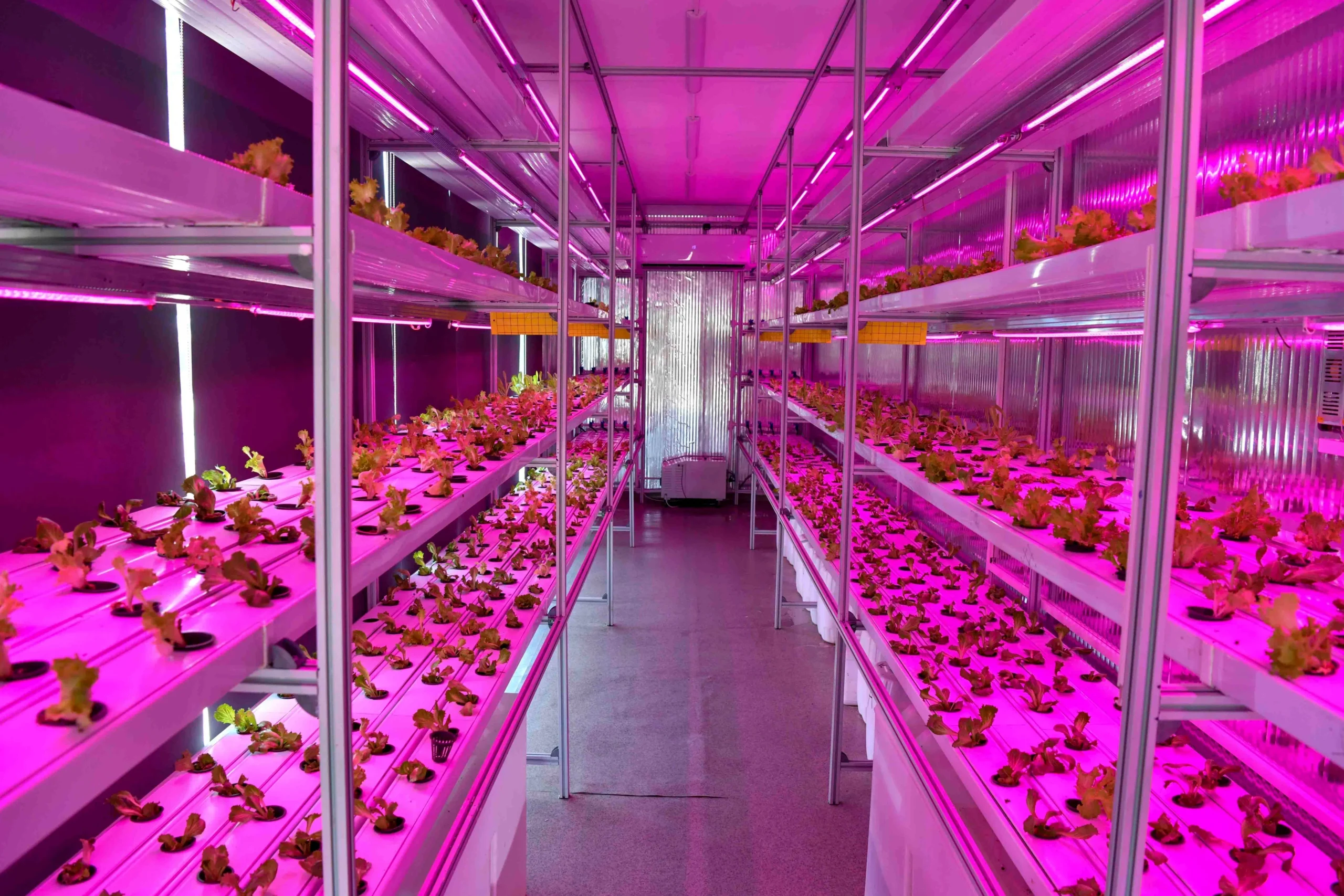 حاويات الزراعة العمودية الخالية من التربة (4)